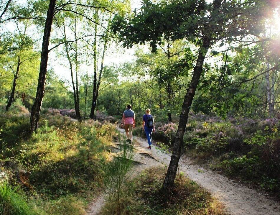 Natur erleben bei Nettetal: Was einen der schönsten Wanderwege Deutschlands ausmacht
