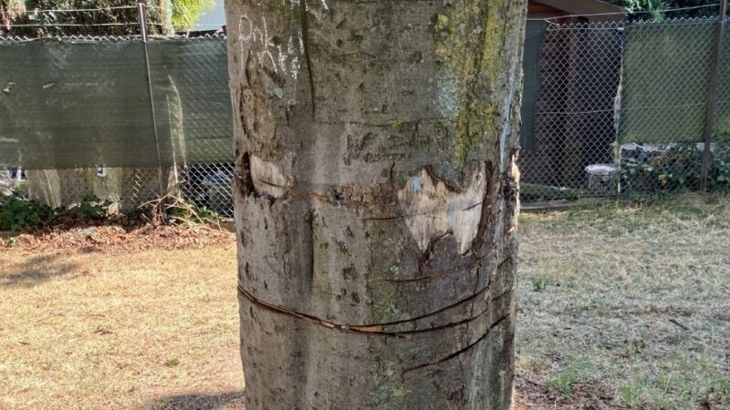 Zeugen gesucht: Vandalismus auf mehreren Spielplätzen in Mönchengladbach