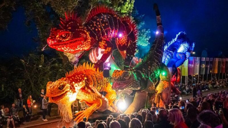 Blumenkorso in Overijssel: 3,5 Millionen Dahlien verwandeln ein niederländisches Dorf