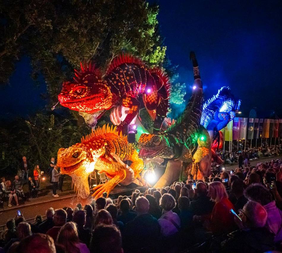 Blumenkorso in Overijssel: 3,5 Millionen Dahlien verwandeln ein niederländisches Dorf