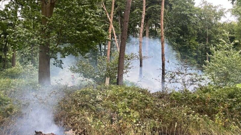 Waldbrandgefahr in Grevenbroich: „Wenn es großflächig brennt, fliegt auch hier der Hubschrauber“