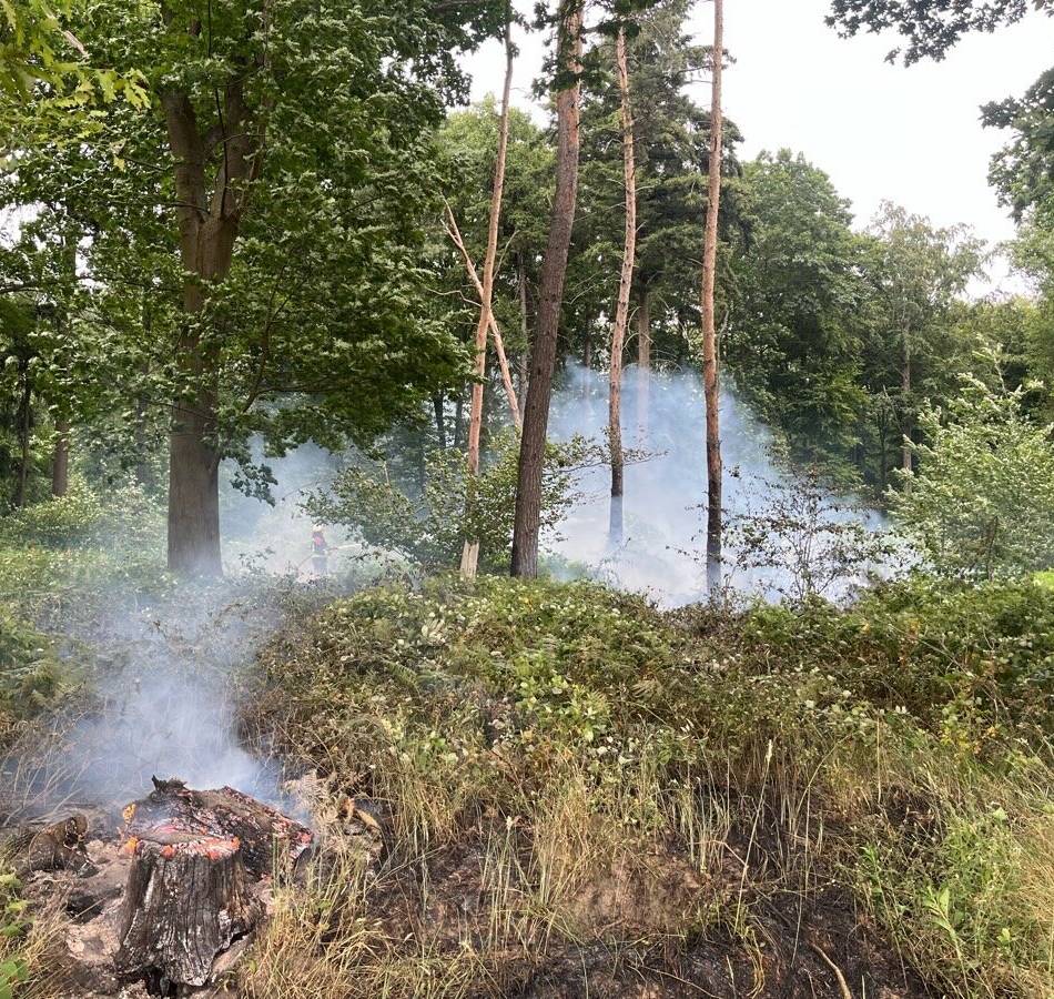 Waldbrandgefahr in Grevenbroich: „Wenn es großflächig brennt, fliegt auch hier der Hubschrauber“