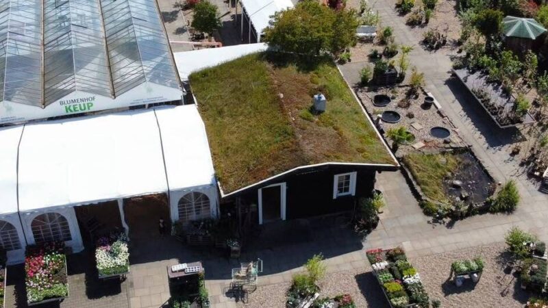 Dormagener Blumenhof ist insolvent: „Mit dem Wissen von heute hätten wir uns damals gegen die Übernahme entschieden“