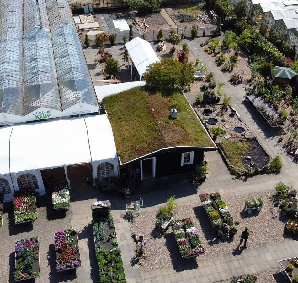 Dormagener Blumenhof ist insolvent: „Mit dem Wissen von heute hätten wir uns damals gegen die Übernahme entschieden“
