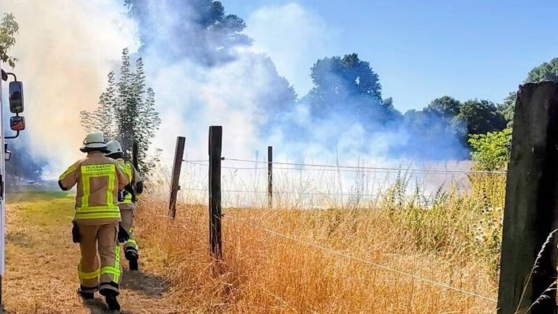 Alarm auf Bauernhof in Grevenbroich: Pferdekoppel in Flammen – Feuerwehr kann rasante Ausbreitung stoppen