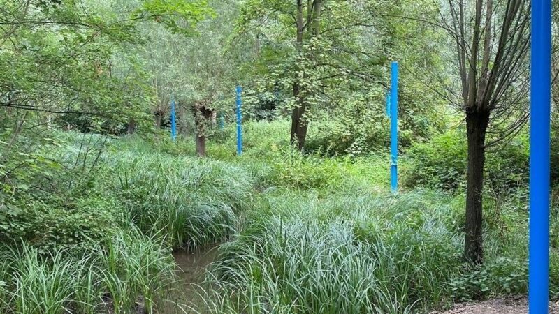 Anlage im Duisburger Süden: Bodendenkmal und natürliche Klimaanlage – die vielen Leben des Biegerparks
