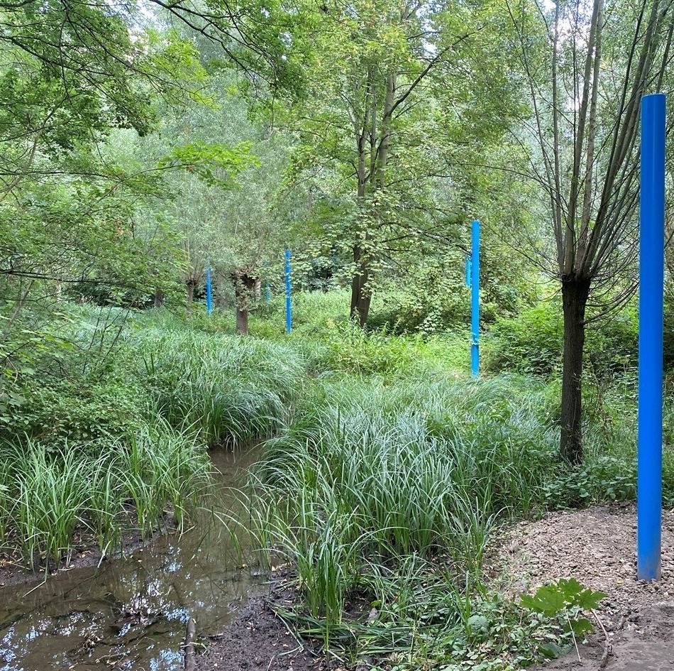 Anlage im Duisburger Süden: Bodendenkmal und natürliche Klimaanlage – die vielen Leben des Biegerparks