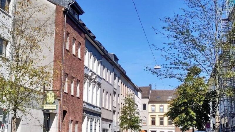 Trockenheit in Krefeld: Bürger sollen beim Gießen von Straßenbäumen helfen
