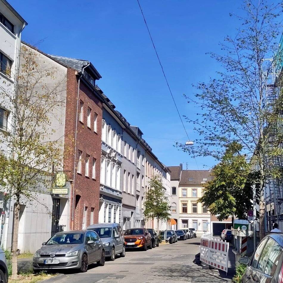 Trockenheit in Krefeld: Bürger sollen beim Gießen von Straßenbäumen helfen