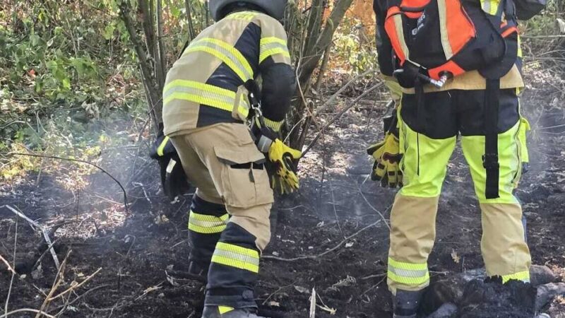 Evakuierung wegen kilometerlangem Böschungsbrand: Kaarster Feuerwehr rettet 150 Zug-Passagiere