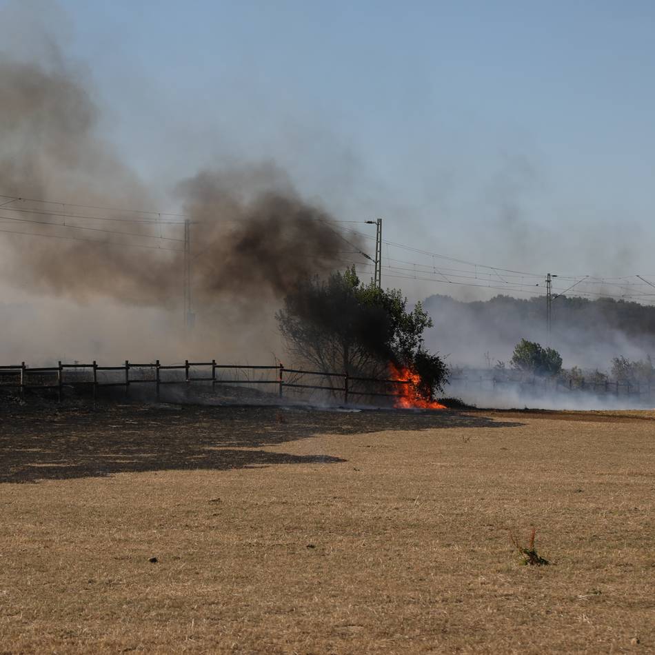 Rund 100 Feuerwehrkräfte im Einsatz: Großbrand zwischen Meerbusch und Krefeld – Bahnstrecke gesperrt