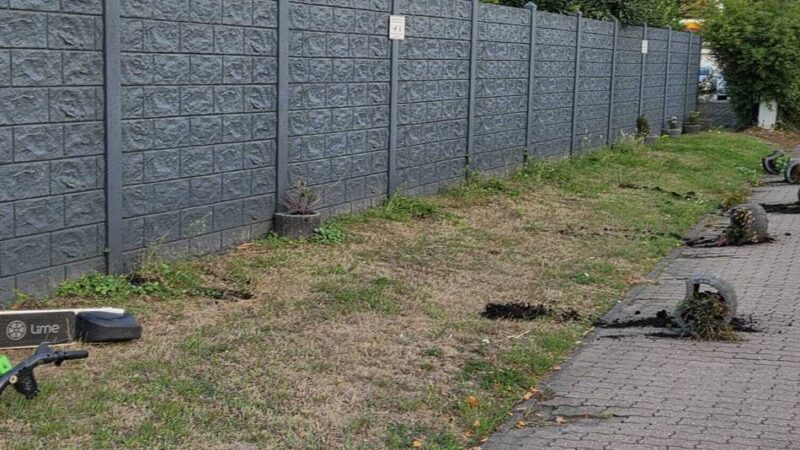 „Es sah aus wie ein Schlachtfeld“: Jugendlicher wirft in Meerbusch mit E-Scooter und Pflanzkübeln