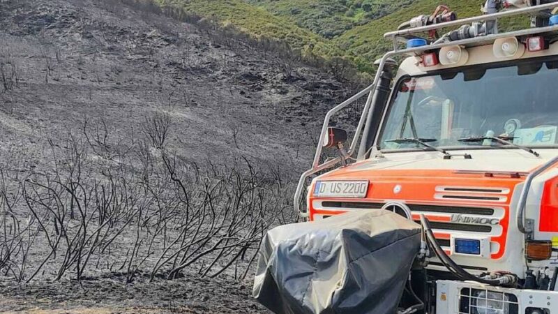 Einsatz bei Waldbrand in Spanien: „Etwas überraschend“ – Düsseldorfer Feuerwehrleute schon wieder auf dem Weg nach Hause