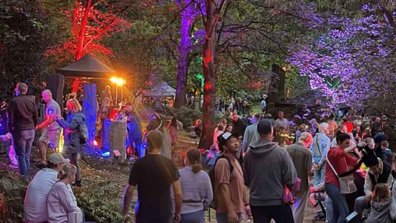 evd-Lichterfest in Dormagen: Wenn uralte Steine plötzlich leuchten