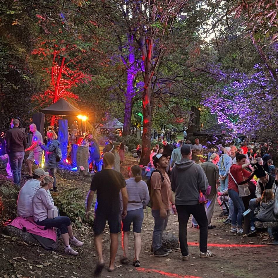 evd-Lichterfest in Dormagen: Wenn uralte Steine plötzlich leuchten