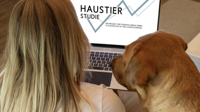 Fünfte Haustier-Studie von takefive media: Hückeswagener Firma erforscht das Kaufverhalten von Tierhaltern