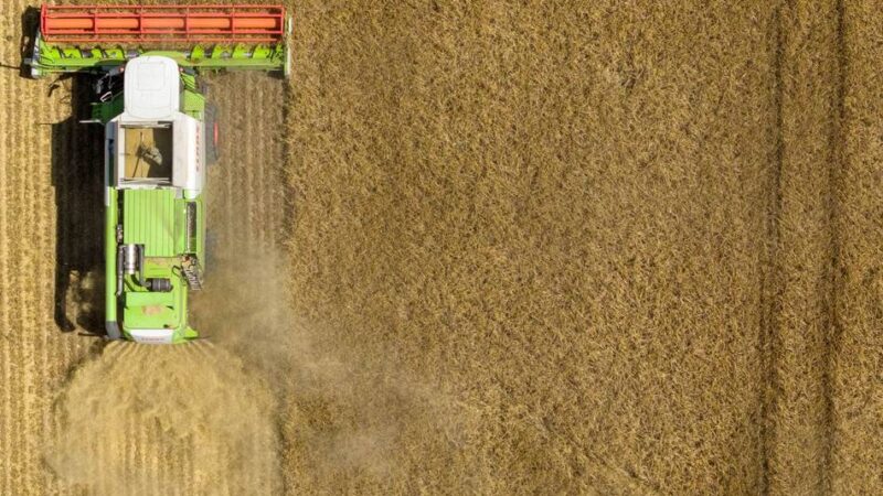 Kreisbauernschaft Neuss-Mönchengladbach: Landwirte schlagen Alarm – anhaltende Trockenheit bedroht Erträge