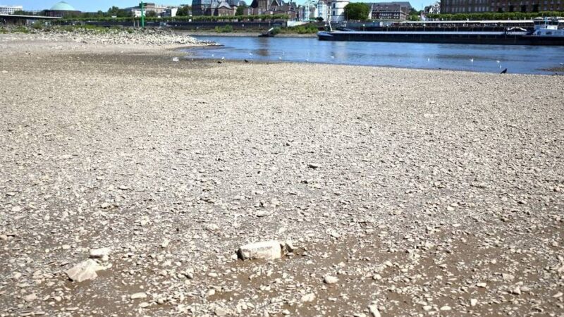 Pegel auf Rekordtief: Kann man in Düsseldorf jetzt durch den Rhein laufen?