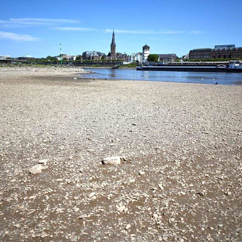 Pegel auf Rekordtief: Kann man in Düsseldorf jetzt durch den Rhein laufen?