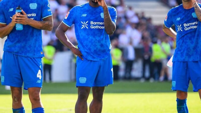 Wechsel nach England und Italien?: Rolfes gibt Transferupdate zu Bayer-Profis Palacios und Poku