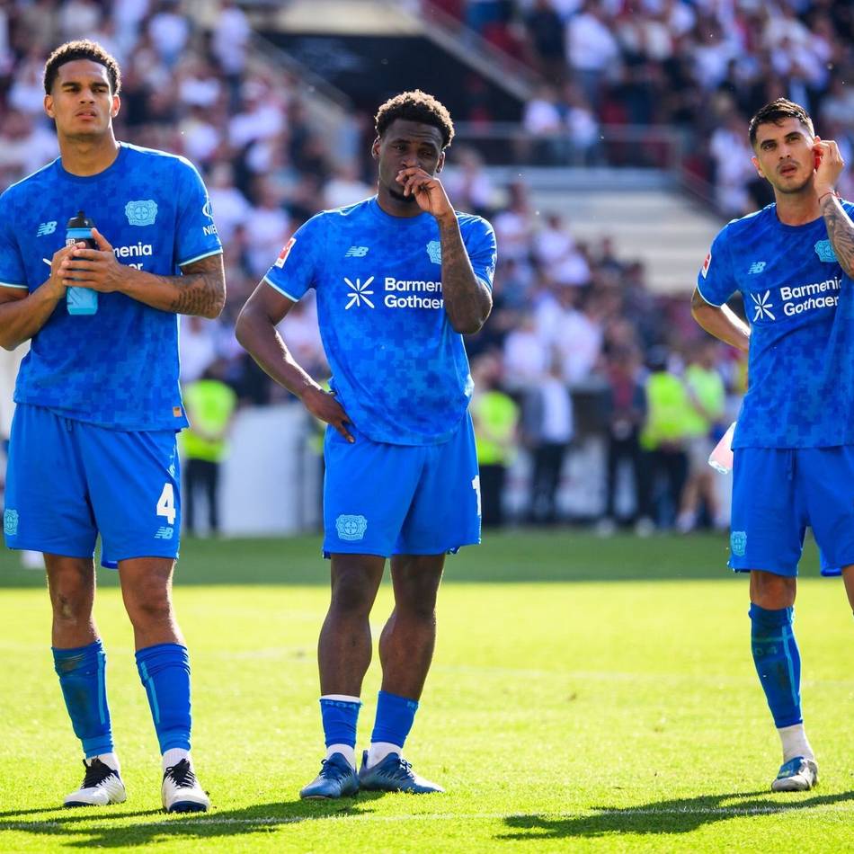Wechsel nach England und Italien?: Rolfes gibt Transferupdate zu Bayer-Profis Palacios und Poku