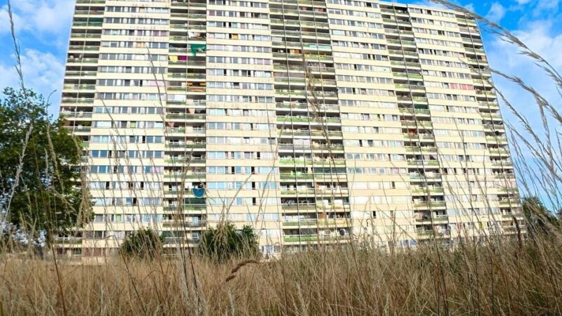 Duisburger Chaos-Immobilie: Warum Thomas aus Düsseldorf eine Wohnung im „Weißen Riesen“ kauft