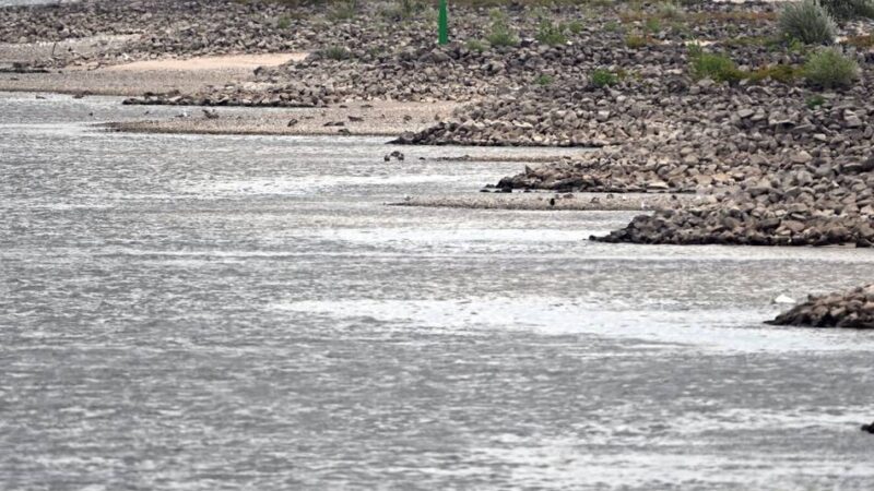 Niedriger Wasserstand im Rhein: Umweltschützer fordern Plan B für Befüllung der Tagebau-Seen