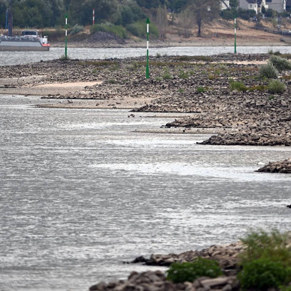 Niedriger Wasserstand im Rhein: Umweltschützer fordern Plan B für Befüllung der Tagebau-Seen