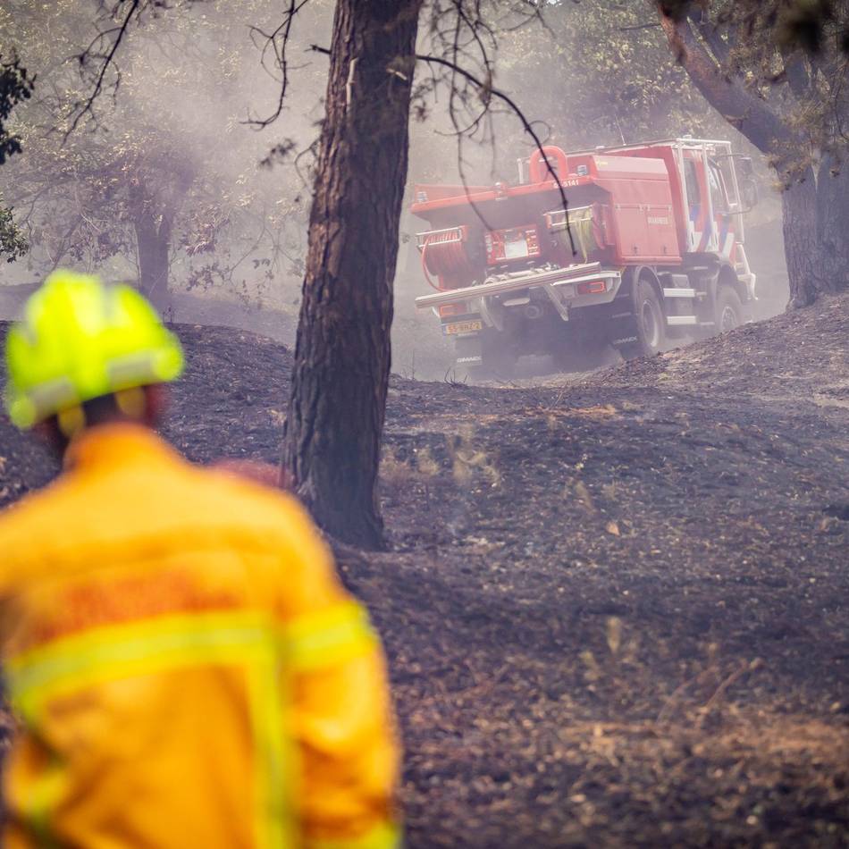 Nach dem großen Brand in Limburg: „Das Feuer hat das Herz des Naturschutzgebiets zerstört“