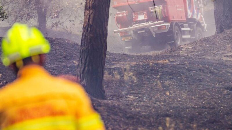 Entwarnung in den Niederlanden: Waldbrand im Naturschutzgebiet nahe Venlo ist unter Kontrolle