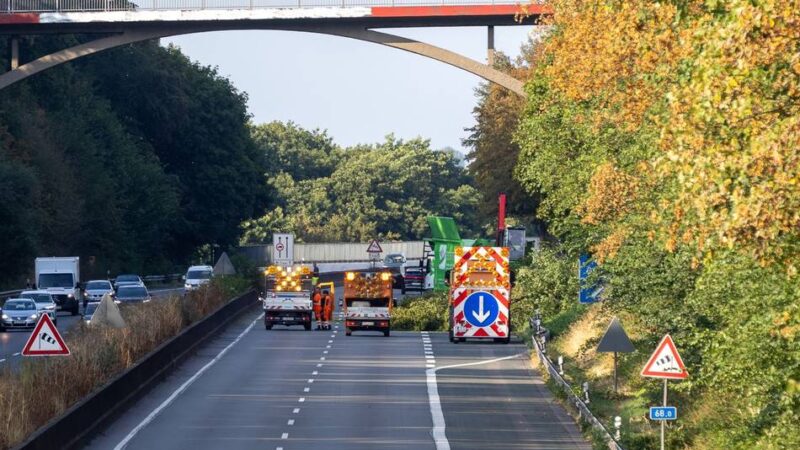 A 52 musste stundenlang gesperrt werden: Baum stürzt auf Autobahn