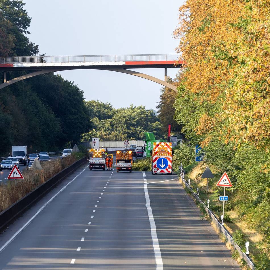 A 52 musste stundenlang gesperrt werden: Baum stürzt auf Autobahn