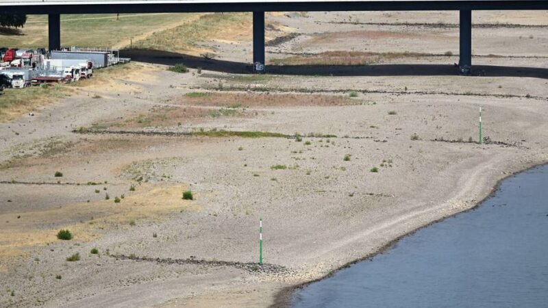 Probleme mit Niedrigwasser: Niederrheinische IHK fordert 2,5 Milliarden, um den Rhein krisenfest zu machen