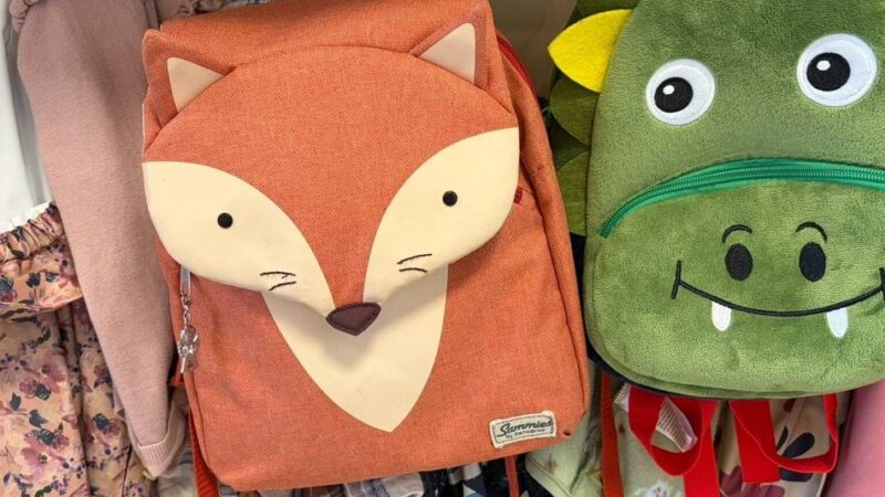 Tränen, Kuscheltiere und Bücher: Acht Tipps für den Kita-Start – So gelingt die Eingewöhnung