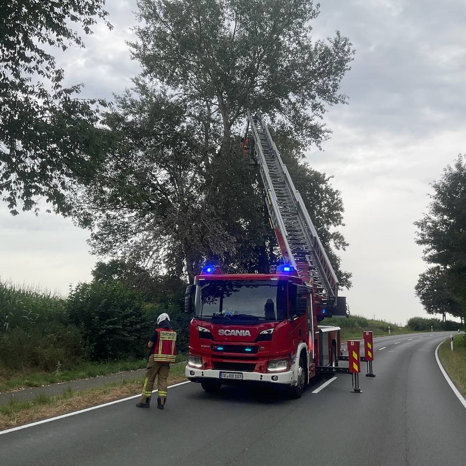 Sturmschaden in Alpen: Ast droht auf Radweg und Fahrbahn zu stürzen