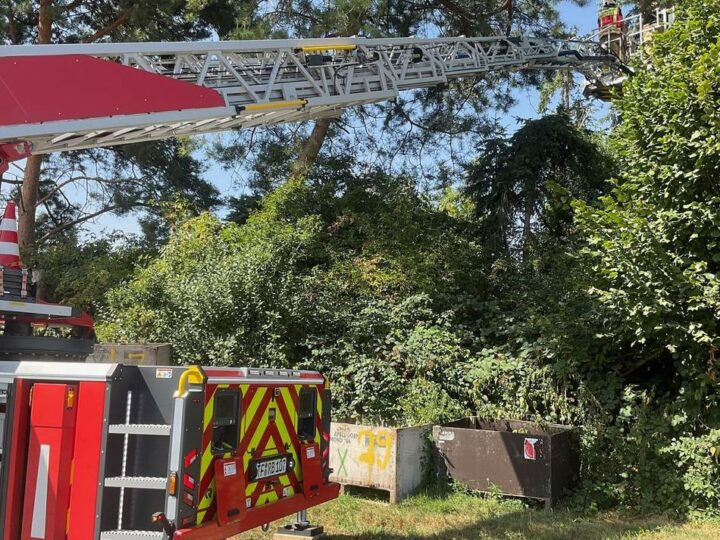 Feuerwehreinsatz in Alpen: Drehleiter für die Katz: Tier springt selbst in Sicherheit