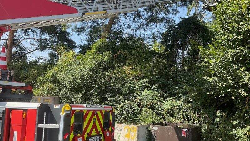 Feuerwehreinsatz in Alpen: Drehleiter für die Katz: Tier springt selbst in Sicherheit