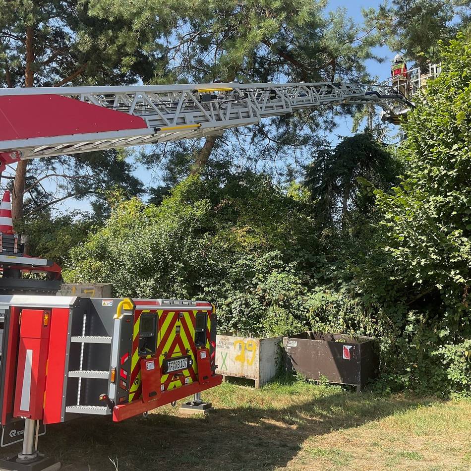 Feuerwehreinsatz in Alpen: Drehleiter für die Katz: Tier springt selbst in Sicherheit