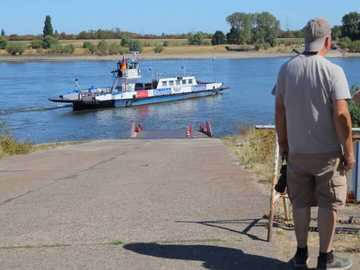 Rheinfähre Orsoy-Walsum: Niedrigwasser des Rheins bedroht Fährbetrieb
