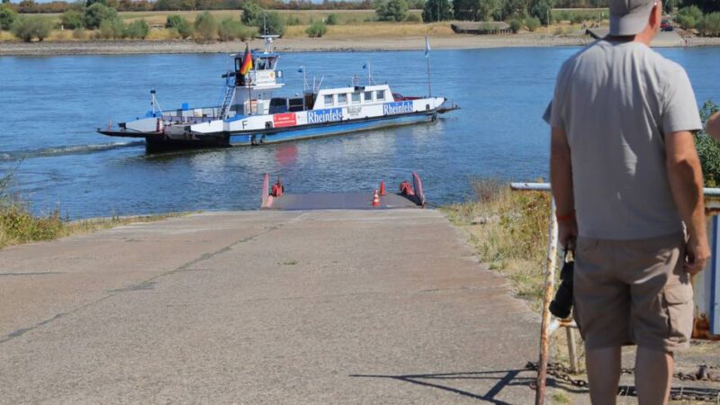Rheinfähre Orsoy-Walsum: Niedrigwasser des Rheins bedroht Fährbetrieb