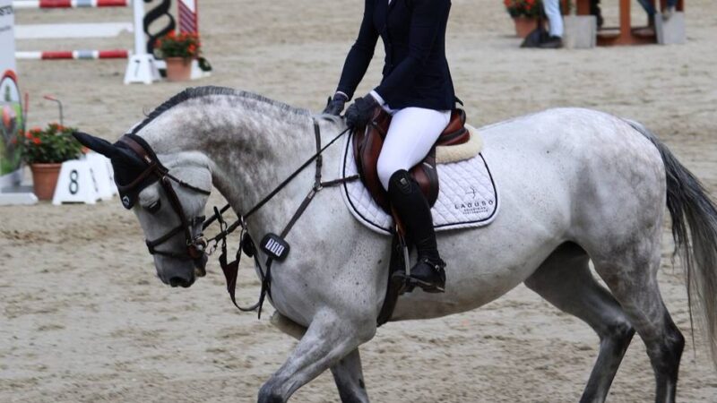 Springturnier in Xanten: Terhoeven-Urselmans kommt im anspruchsvollen Parcours am besten klar