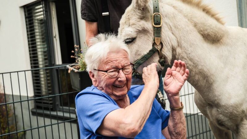 „Fahrender Bauernhof“ besucht Einrichtung in Kaarst: Esel „Pudding“ verbreitet beste Stimmung im Seniorenheim