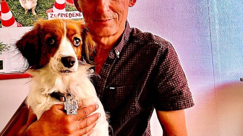 Hundetrainer aus Emmerich: Experte warnt: Nicht jede Familie ist bereit für einen Hund