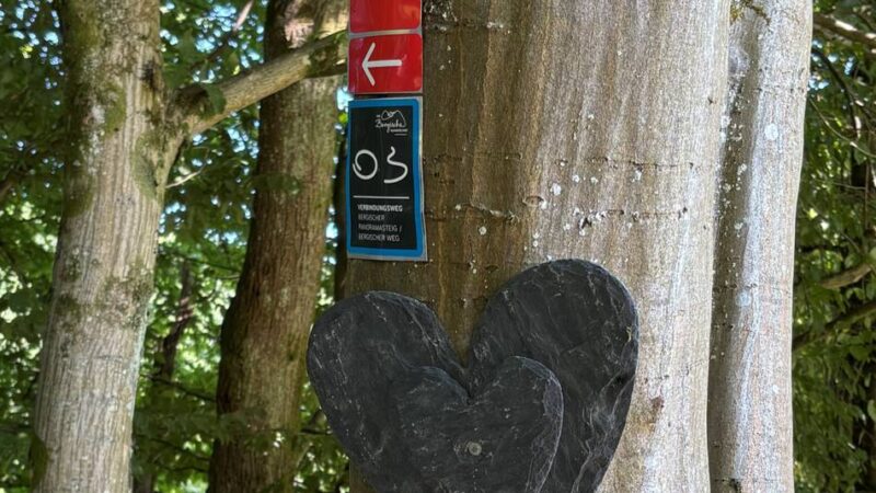 Wandern im Bergischen: Strauße, Orchideen und immer ein murmelnder Bach