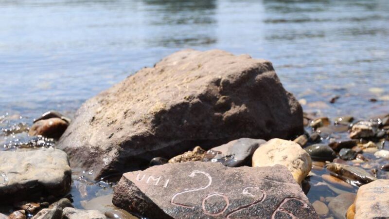 Rhein in Leverkusen: 66 Zentimeter Rheinpegel – und ein neuer Klima- und Durststein
