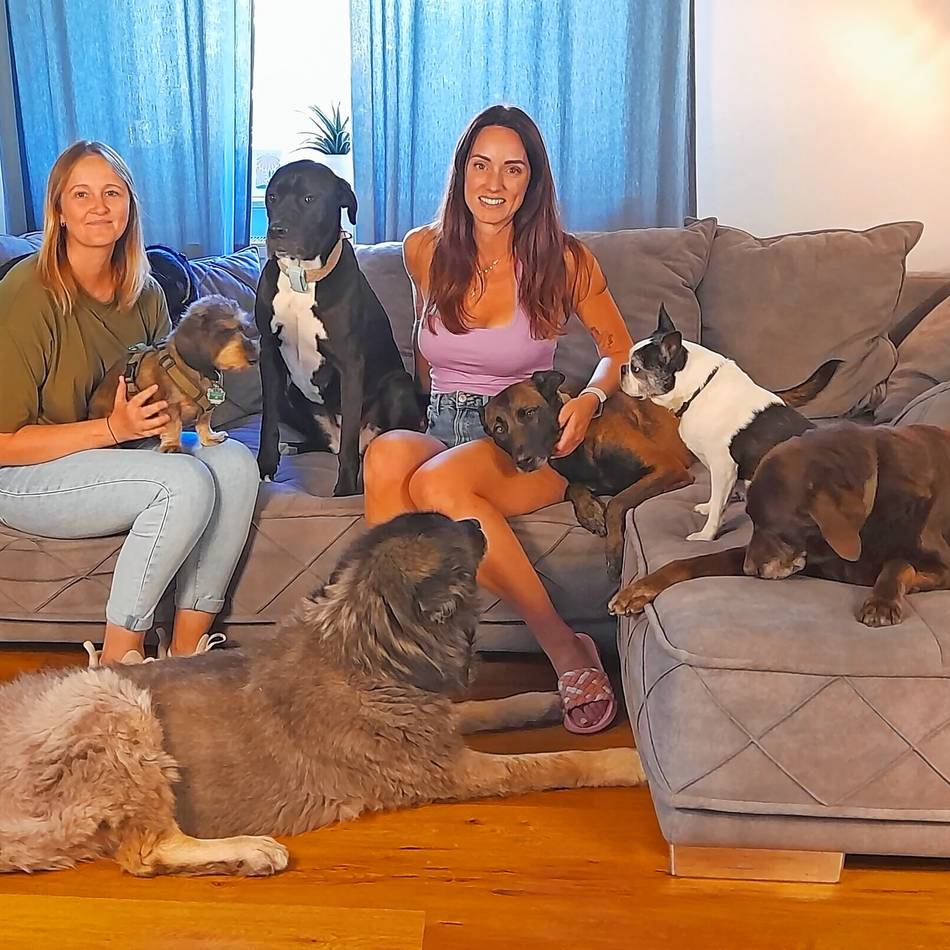 Eva Birkenholz und der Welpentrainer André Vogt betreiben in Düssel eine Akademie für Hundewissen: Die Rasse muss zu ihrem Menschen passen