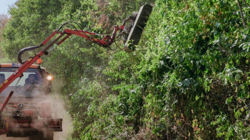 Reichswald im Kreis Kleve: „Es gibt sogar jetzt noch Experten, die im Wald grillen“