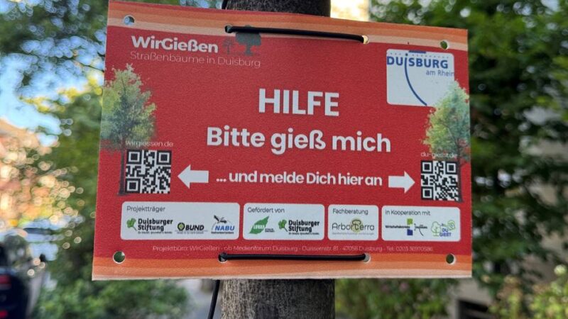 Trockenheit und Hitze: „Bitte gieß mich“ – Warum viele Bäume in Duisburg jetzt nach Hilfe rufen