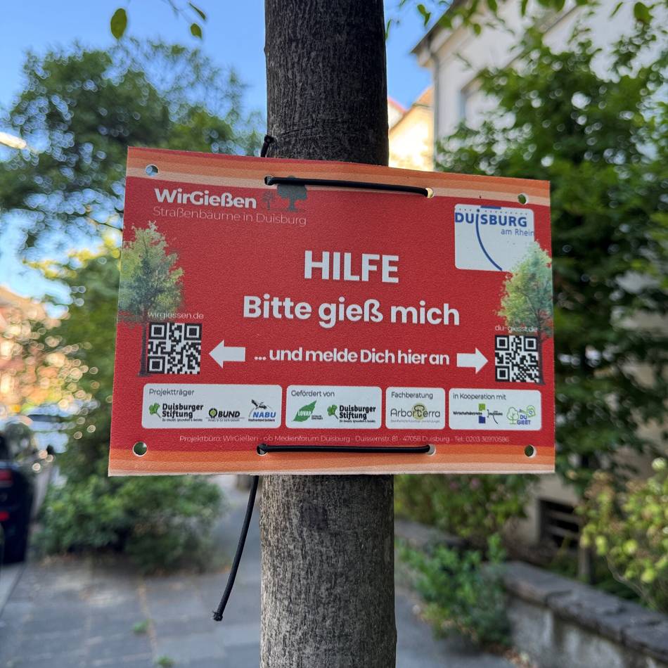 Trockenheit und Hitze: „Bitte gieß mich“ – Warum viele Bäume in Duisburg jetzt nach Hilfe rufen