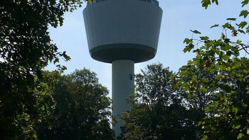 Klimagerechte Modernisierung: Dülkens Stadtgarten wird umgestaltet